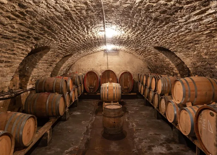 Bed & Breakfast Gaestezimmer Im Weingut Wolf Grosskarlbach